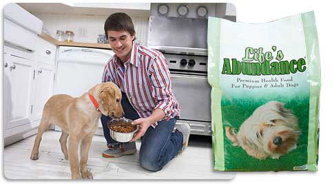 Man feeding dog Life's Abundance