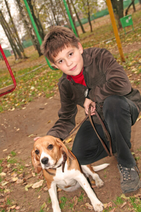 Boy and Beagle