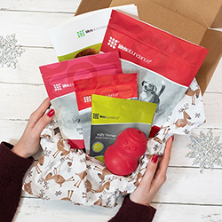 Holiday Dog Gift Box
