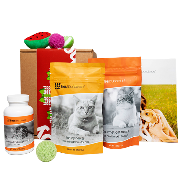 Holiday Cat Gift Box with Toys and Treats