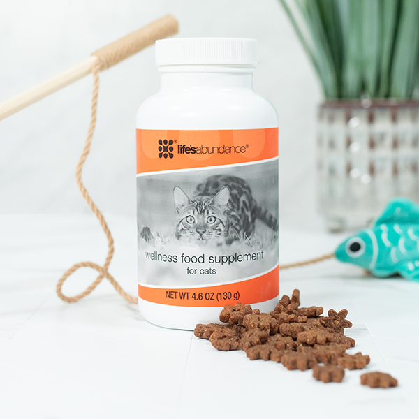 Wellness Food Supplement For Cats